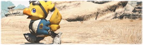 to kweh under distant skies